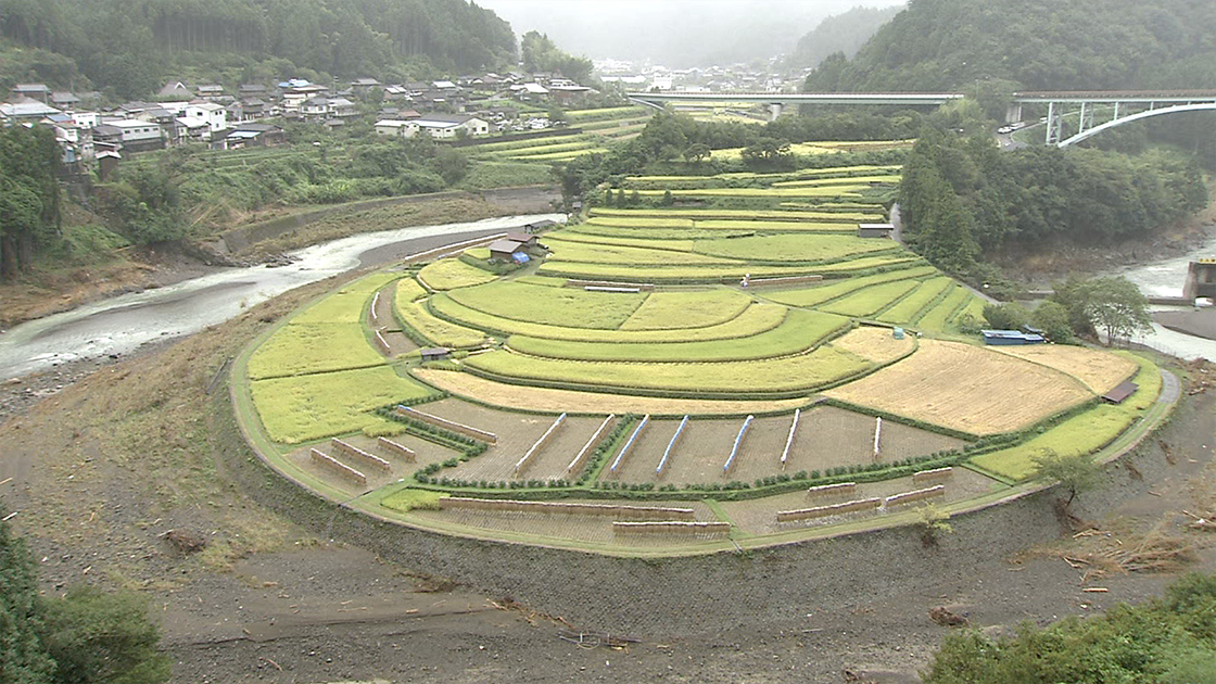 和歌山県｜ふるさと映像INDEX｜にっぽん農紀行 ふるさとに生きる