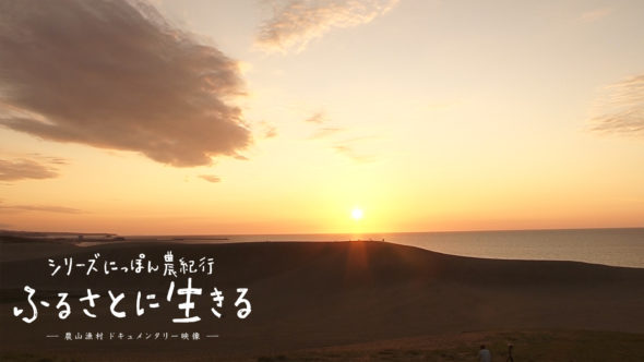 08.鳥取砂丘の夕陽