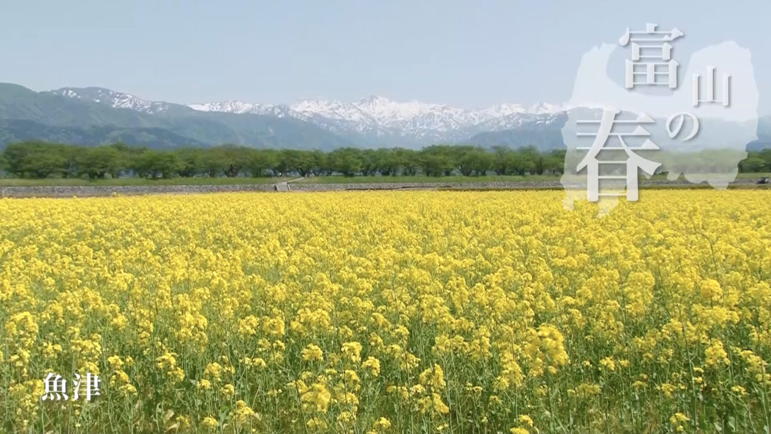 富山県｜ふるさと映像INDEX｜にっぽん農紀行 ふるさとに生きる