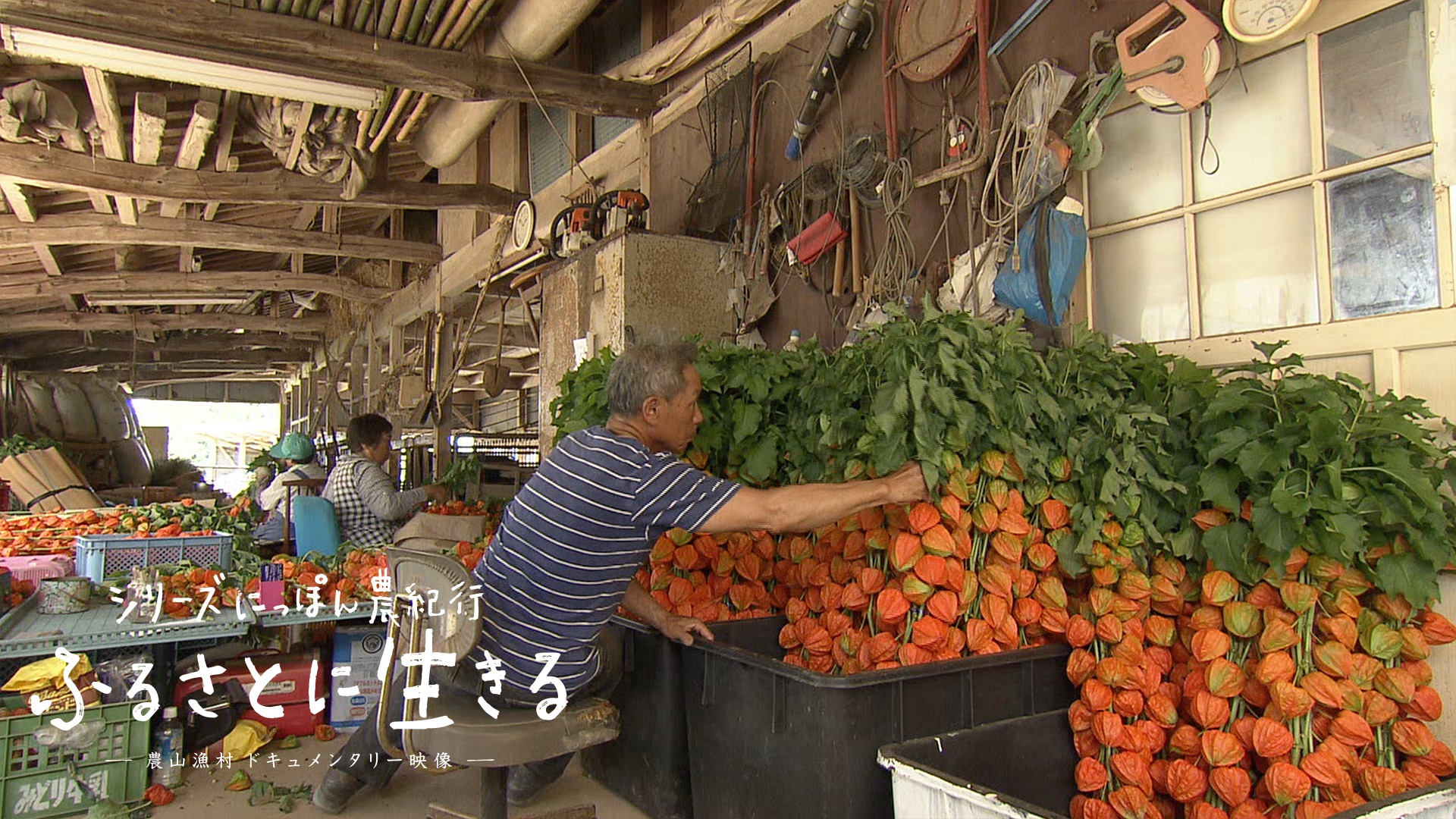 ◆ほぼ未使用◆ 天領まな板　プラスチック杵　大　餅つき　杵 PE 杵 大 天領まな板 ポリエチレン(天然木) - 【通販モノタロウ】