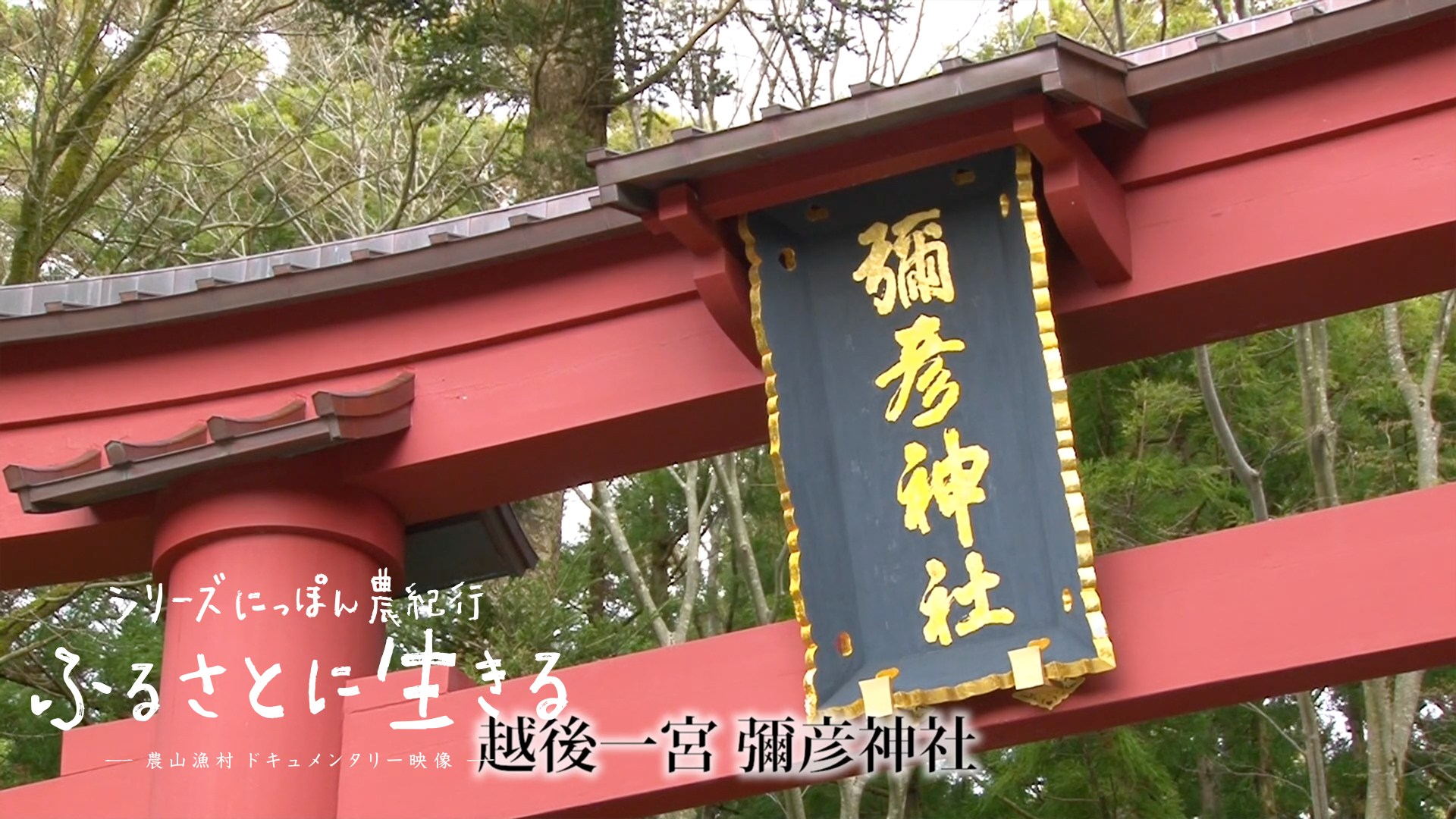 02 越後一宮彌彦神社の初穂講と米どころの始まり 新潟県 にっぽん農紀行 ふるさとに生きる