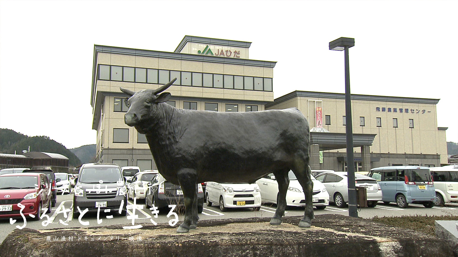 岐阜県｜ふるさと映像INDEX｜にっぽん農紀行 ふるさとに生きる