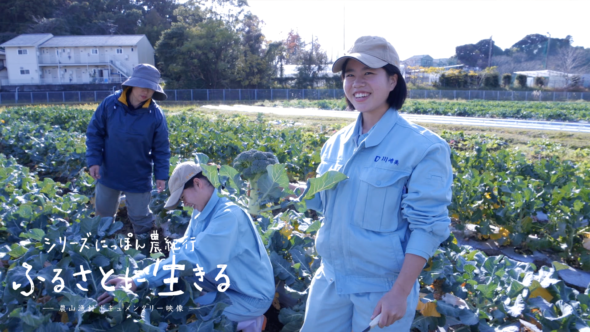 宮崎農業高校の栽培実習