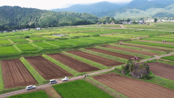 村岡農場のソバ畑