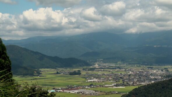 昼夜の寒暖差が大きい盆地に位置する大野市