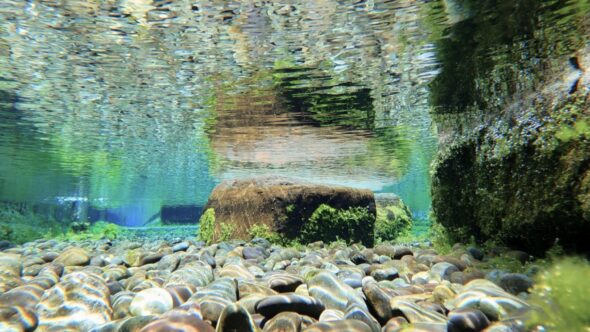 透明度が高い湧き水