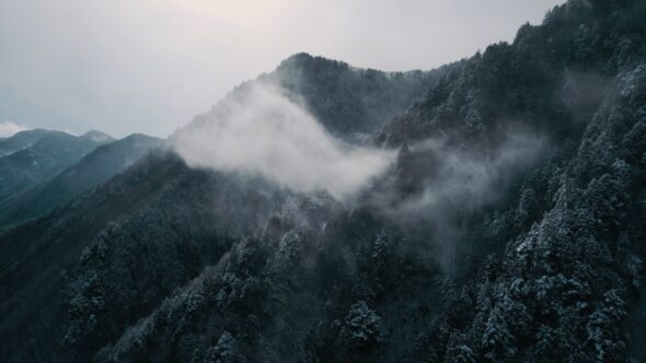 世界自然遺産・白神山地
