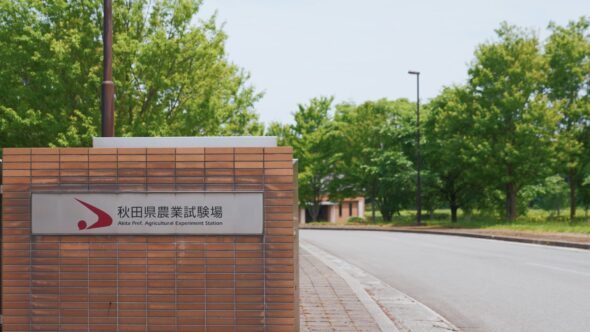 新品種開発の舞台、秋田県農業試験場