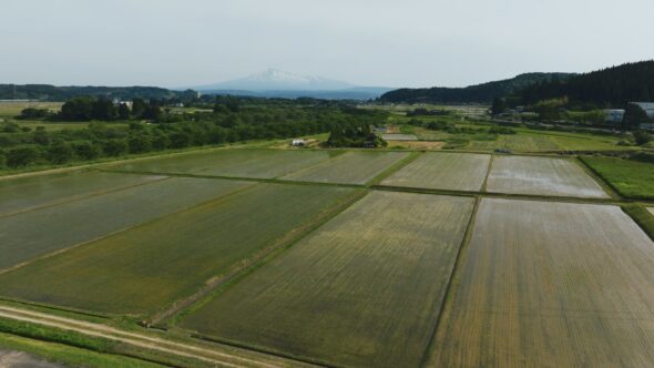 豊かな雪解け水が日本屈指の米どころを支える