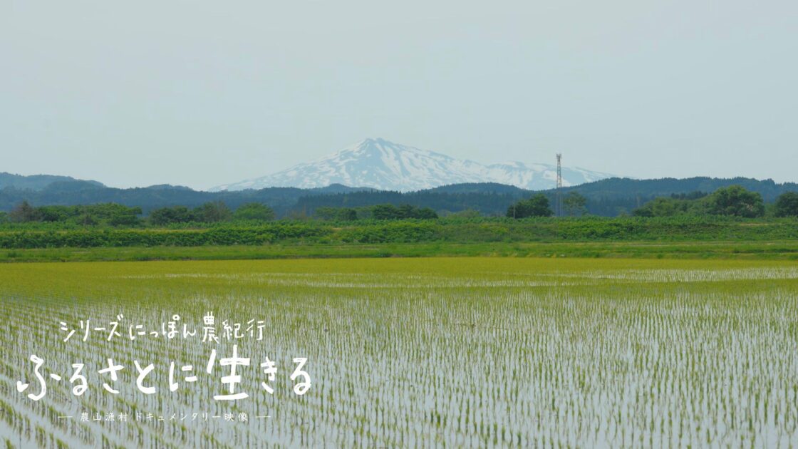 初夏の秋田平野で「田植え」が行われる
