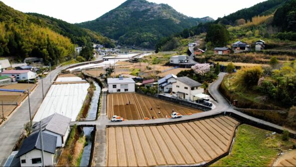 ショウガ畑が点々と広がる谷地の集落